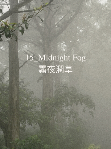 Midnight Fog