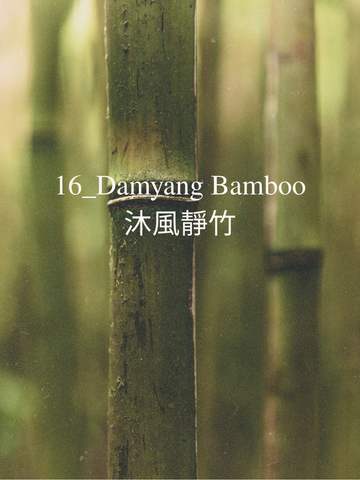 Damyang Bamboo