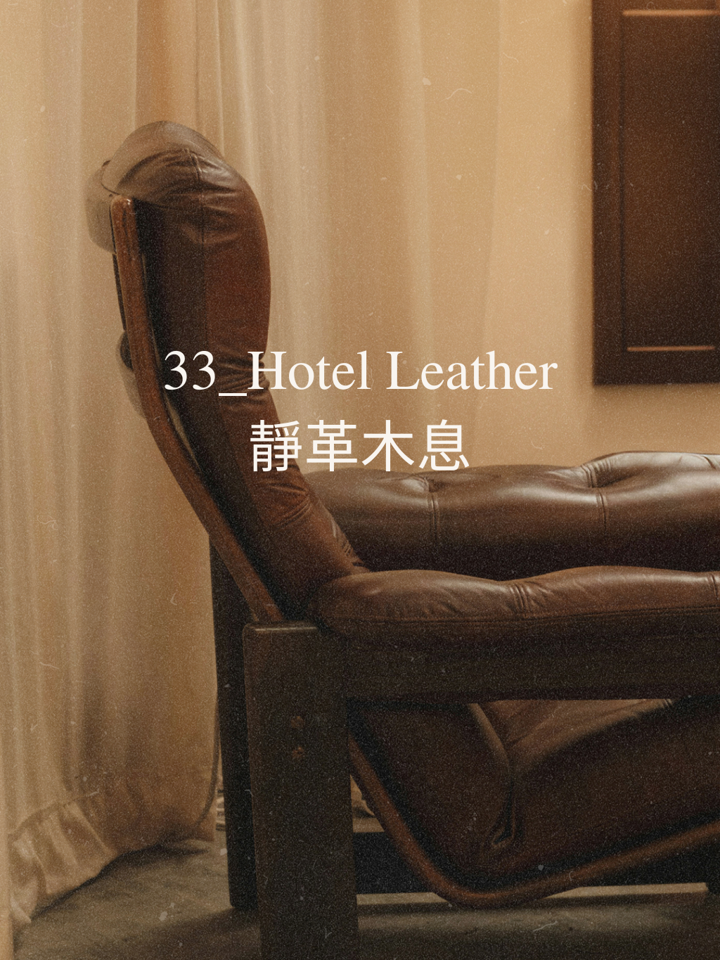 Hotel Leather