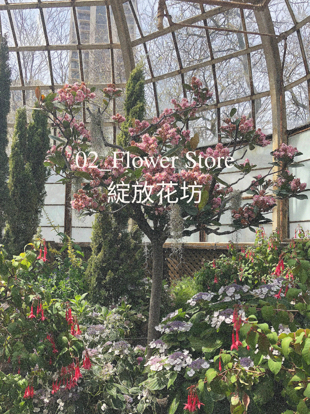 Flower Store