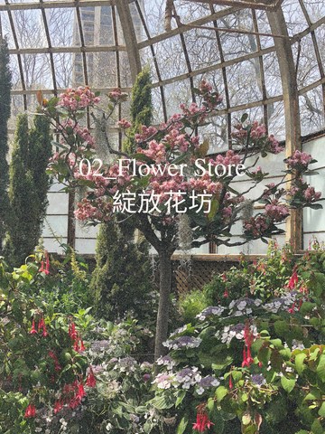 Flower Store